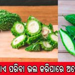 ଜଣା-ଅଜଣା: ‘ଜଗଦ୍ଧାତ୍ରୀ’