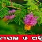 ଭାରତର ଦୁଇ ସହର ବିଶ୍ବର ସବୁଠୁ ଶସ୍ତା, ଖର୍ଚ୍ଚ କମ୍ ସହିତ ରହିବା ପାଇଁ ଉପଯୋଗୀ