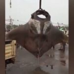 ୩୦ ବର୍ଷ ବୟସ ପରେ ଏହିସବୁ ଖାଦ୍ୟରୁ ଦୁରେଇ ରହିବା ଉଚିତ, ସ୍ୱାସ୍ଥ୍ୟ ପାଇଁ ହାନିକାରକ