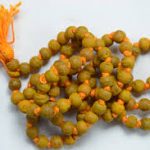 ନିଜ ଘର ଛାତରୁ କରିପାରିବେ ଲକ୍ଷ ଲକ୍ଷ ଟଙ୍କାର ରୋଜଗାର : ଜାଣନ୍ତୁ କିପରି?