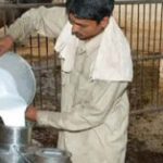 ଏହି ଫୁଲରୁ ତିଆରି ହୁଏ ସବୁଠାରୁ ମହଙ୍ଗା ମସଲା, କିଲୋ ପ୍ରତି ୩ ଲକ୍ଷ ଟଙ୍କାରେ ହୁଏ ବିକ୍ରି