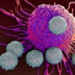 ମାତ୍ର ୪୨ ଟଙ୍କାରେ ଆଜୀବନ ପେନସନ୍ ! ଜାଣନ୍ତୁ କିପରି ଉଠାଇବେ ଏହାର ଫାଇଦା