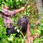 ଆମାଜନ୍‌ର ଆପତ୍ତି ସତ୍ତ୍ଵେ ରିଲାଏନ୍ସ-ଫ୍ୟୁଚର ରିଟେଲ୍‌ ଚୁକ୍ତିକୁ ଅନୁମତି ଦେଲା ସିସିଆଇ