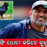 ଦିନେ ପେନ୍‌କିଲର୍ ଖାଇ ପାଠ ପଢ଼ୁଥିଲେ ତେଜ ବାହାଦୁର : କେବିସିରେ ଜିତିଲେ ୫୦ଲକ୍ଷ ଟଙ୍କା