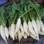 ୩ ଦିନିଆ ରିମାଣ୍ଡରେ ଯିବେ ଅଭୟକାନ୍ତ ପାଠକ: ସ୍ବତନ୍ତ୍ର ଭିଜିଲାନ୍ସ କୋର୍ଟ ଦେଲେ ଅନୁମତି