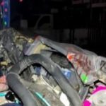 ମଣ୍ଡାଗେଣ୍ଡୁ-ମାଣଲକ୍ଷ୍ମୀ