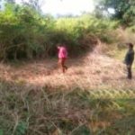 ସୁଶାନ୍ତ ସିଂହ ରାଜପୁତଙ୍କ ମୃତ୍ୟୁ ମାମଲା ପୁନଃଶୁଣାଣି ପାଇଁ ଏକତା କପୁର,ସଞ୍ଜୟ ଲୀଳା ଭନସାଲି ସମେତ ୪ଜଣ କୋର୍ଟରେ ହେଲେ ହାଜର