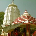 ଗଛକୁ ନେଇ ବିବାଦ, ଗାଁ ଦାଣ୍ଡରେ ମହିଳାଙ୍କୁ ନିସ୍ତୁକ ମାଡ