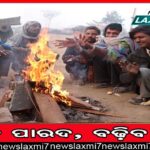 ମଧ୍ୟାହ୍ନ ଭୋଜନ: ଲୁଣ ବଦଳରେ ଡିଟରଜେଣ୍ଟ୍‌! ଅଳ୍ପକେ ବର୍ତ୍ତିଲେ ୨ ଶହ ପିଲା