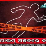 ନିର୍ବାଚନ ପୂର୍ବରୁ କାର୍ଯ୍ୟାନୁଷ୍ଠାନ; ଗୁଜରାଟରେ ୧୨ବାଗୀଙ୍କୁ ବିଦା କଲା ବିଜେପି