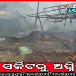 ବିଶେଶ୍ୱର ମନ୍ଦିରରୁ ଲକ୍ଷାଧିକ ଟଙ୍କାର ମୂର୍ତ୍ତି ଚୋରୀ, ଥାନାରେ ଅଭିଯୋଗ ପରେ ତନାଘନା