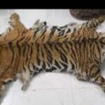 କେନ୍ଦ୍ର ସରକାରଙ୍କ ପିଜିଆଇ ରିପୋର୍ଟ: ଦିଲ୍ଲୀ ସମକକ୍ଷ ହେଉଛି ଓଡ଼ିଶା