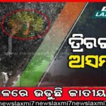 ୨୦୨୪ରେ ହ୍ବାଇଟ୍ ହାଉସ୍ ଆଶାୟୀ ଡୋନାଲ୍ଡ ଟ୍ରମ୍ପ, ନିର୍ବାଚନ ଲଢ଼ିବା ନେଇ କଲେ ଘୋଷଣା