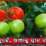 ଓଡିଶାରେ ଆଇନ୍‌ଜୀବୀଙ୍କ ଆନ୍ଦୋଳନ, ଖପ୍ପା ହେଲେ ସୁପ୍ରିମକୋର୍ଟ