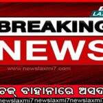 ଲାଲ୍‌ ନୁହେଁ, ଖାଆନ୍ତୁ ଗ୍ରୀନ୍‌ ଟମାଟୋ, ଦୂରେଇ ଯିବ ଏହି ୩ଟି ସମସ୍ୟା