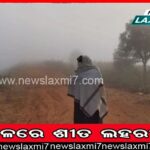 ଜାଡରେ ଥରୁଛି ସାରା ଓଡିଶା, ଆଗକୁ ସ୍ୱାଭାବିକ ତାପମାତ୍ରା ଆହୁରି ୨ ରୁ ୪ଡିଗ୍ରୀ ଖସିବ