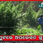 ଇଡିକୁ ସଫଳତା : ମିଳିଲା ଅର୍ଚ୍ଚନା ନାଗଙ୍କ ଏଣ୍ଡେଭର କାର୍, ଆଗ ପଛରେ ନଥିଲା ନମ୍ବର ପ୍ଲେଟ୍