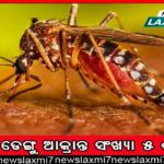 ଅର୍ଚ୍ଚନା ନାଗ ଗିରଫ ମାମଲା, ଇଡିରେ ହାଜର ହେଲେ କାର୍‌ ସୋ’ରୁମ୍‌ ମାଲିକ