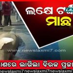 ଶିଶୁ ଦିବସ: ପଣ୍ଡିତ ଜବାହାର ଲାଲ୍‌ ନେହେରୁଙ୍କ ଜନ୍ମତିଥୀ, ବିଭିନ୍ନ ସ୍ଥାନରେ କାର୍ଯ୍ୟକ୍ରମ ସାଙ୍ଗକୁ ପ୍ରତିଯୋଗିତା