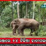 OAS ସ୍ତରରେ ଅଦଳବଦଳ, ଅନନ୍ତ ବିଜୟ ପଟ୍ଟନାୟକଙ୍କୁ ଜଙ୍ଗଲ ଓ ପରିବେଶ ବିଭାଗ ଅତିରିକ୍ତ ଦାୟିତ୍ୱ