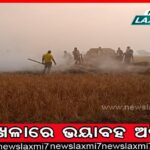 ବଢିବ ଅଡୁଆ, ଇଡିରେ ହାଜର ହୋଇପାରନ୍ତି ନାଗ ଦମ୍ପତ୍ତି