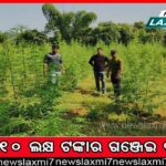 ଖସୁଛି ପାରଦ: ଜି.ଉଦୟଗିରି ସବୁଠୁ ଥଣ୍ଡା ସହର