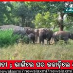 ନିର୍ବାଚନୀ ଇତିହାସରେ ପଦ୍ମପୁର: କିଏ କେବେ ଜିତିଲେ