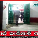 ପାଟଣା ରେଞ୍ଜକୁ ଫେରିଲେ ୨୪ ଟିକିଆ ହାତୀପଲ, ନଷ୍ଟ କଲେ ଧାନ ଫସଲ