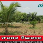 ନୂଆ ଟ୍ବିଟର ପଲିସିର ଘୋଷଣା କଲେ ଏଲନ ମସ୍କ, କହିଲେ ନେଗେଟିଭ୍ ଟ୍ବିଟକୁ…