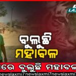 ଦୁର୍ନୀତିରେ ଛନ୍ଦି ହେଉଛି ସମବାୟ ବ୍ୟାଙ୍କ: ୧୫ କୋଟିର ଅନିୟମିତତାକୁ ନେଇ ଲଢ଼େଇ