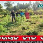 ସରିବ ଐତିହାସିକ ବାଲିଯାତ୍ରା, ୧୦ ଦିନ ଧରି ଚାଲିଥିବା ମେଳାରେ ପ୍ରବଳ ଭିଡ ସାଙ୍ଗକୁ ଜମିଛି ବ୍ୟବସାୟ