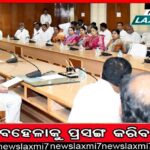 ପାଣି ଅଭାବରୁ ମରିଗଲା ଧାନ ଫସଲ, ଜମିରେ ଗୋରୁ ଛାଡ଼ିଲେ ଚାଷୀ