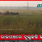 ମହାରାଜା ପୂର୍ଣ୍ଣଚନ୍ଦ୍ର ସ୍ବୟଂଶାସିତ ମହାବିଦ୍ୟାଳୟ: ୫,୫୦୦ ଛାତ୍ରଛାତ୍ରୀଙ୍କ ପାଇଁ ୩୦ ଅଧ୍ୟାପକ!