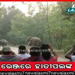 ଶୌଚ ହେବାକୁ ଯାଇଥିଲେ, ଆଉ ଫେରିଲେନି…