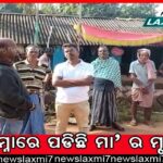 ସେଲ୍ଫ ଫାଇନାନ୍ସିଂ ପାଠ୍ୟକ୍ରମ: ବିଶ୍ବବିଦ୍ୟାଳୟକୁ ନା, ମହାବିଦ୍ୟାଳୟକୁ ହଁ