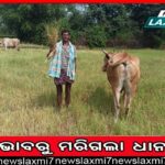 ୮ ବର୍ଷ ପରେ ରାଉରକେଲା ଫେରିଲା ହକି ଉତ୍କର୍ଷ କେନ୍ଦ୍ର