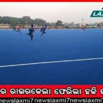 ପାଣି ଅଭାବରୁ ମରିଗଲା ଧାନ ଫସଲ, ଜମିରେ ଗୋରୁ ଛାଡ଼ିଲେ ଚାଷୀ