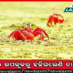 ମୁମ୍ୱାଇରେ ବିଳାଶପୂର୍ଣ୍ଣ ଆପାର୍ଟମେଣ୍ଟ କିଣିଲେ ଦୀପଭୀର, ଭିଡିଓରେ ଦେଖନ୍ତୁ ଝଲକ