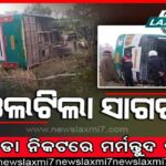 ନନ୍ଦନକାନନ ପାଇଁ ଖୁସିର ଖବର, ତୃତୀୟ ଲାଗି ମା’ ହେବ ସିଂହୀ ‘ବିଜ୍‌ଲୀ’