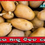 କମେଣ୍ଟମରାକୁ ନେଇ ତୁମୁଳକାଣ୍ଡ, ପରୀକ୍ଷାକେନ୍ଦ୍ର ସମ୍ମୁଖରେ ଉତ୍ତେଜନା