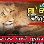 ପୂର୍ବତନ ରାଷ୍ଟ୍ରଦୂତ ଅବସର ବେଉରିଆଙ୍କ ପରଲୋକ, ୮୦ ବର୍ଷରେ ଆଖିବୁଜିଲେ