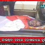 ଶ୍ରୀମନ୍ଦିରରେ ଓଢ଼ଣ ଷଷ୍ଠୀ, ମହାପ୍ରଭୁଙ୍କୁ ଘୋଡ଼ଲାଗି