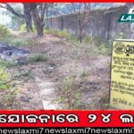 ପଦ୍ମପୁରରେ ବିଜେଡ଼ିର ବାଜିମାତ୍ । ବିପୁଳ ଭୋଟରେ ବିଜୟୀ ହେଲେ ବର୍ଷା ସିଂ ବରିହା, ବହୁ ପଛରେ ପଡିଲେ ପ୍ରଦୀପ ପୁରୋହିତ ।