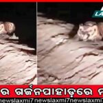 ସୁରତରେ ଓଡ଼ିଆ ନାବାଳିକାକୁ ହତ୍ୟା ଘଟଣାରେ ହଇଚଇ