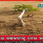 ଦୁଇ କଂଗ୍ରେସ ବିଧାୟକଙ୍କୁ କାରଣ ଦର୍ଶାଅ ନୋଟିସ