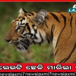 ପୁଲିସ ପୋଷାକରେ ମାତିଲେ ଲୁଟେରା: ଫେରିଲା ଡେଙ୍ଗା-ଗେଡ଼ା ଗ୍ୟାଙ୍ଗ୍‌