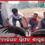 ବ୍ରହ୍ମପୁର ବିଶ୍ବବିଦ୍ୟାଳୟର ନାକ୍‌ ମାନ୍ୟତା ଖସିଲା:  ଥିଲା ‘ଏ’, ହେଲା ‘ବି’, ଦାୟୀ କିଏ ?