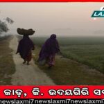 ନଡ଼ିଆ ଗଛରେ ଅଜଣା ରୋଗ