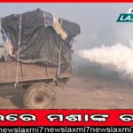 ବେଫିକର୍‌ ଗୋରୁ ମାଫିଆ, ଯୋଡିଆ ଘାଟିରେ ଏସ୍‌ଟିଏଫ୍‌ ଉପରକୁ ଗୁଳିମାଡ