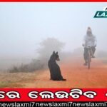 ୨୦୨୪ ପାଇଁ ପ୍ରସ୍ତୁତି: ପଦ୍ମପୁରର ଅଭିଜ୍ଞତାକୁ ନେଇ ପ୍ରସ୍ତୁତ ହେବ ବିଜେଡି